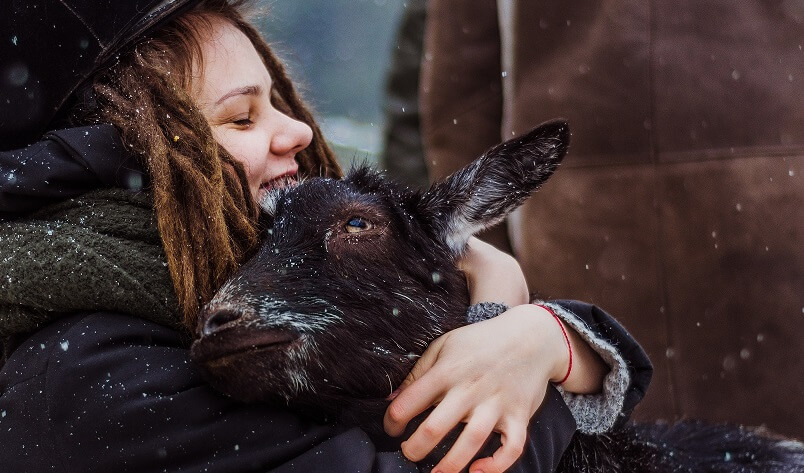 Goats are kid friendly farm animals 