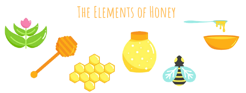 What bees need to make honey infographics for kids