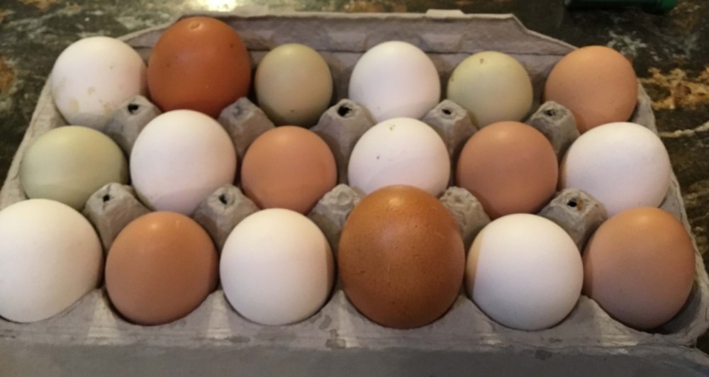 Store eggs from oldest to youngest