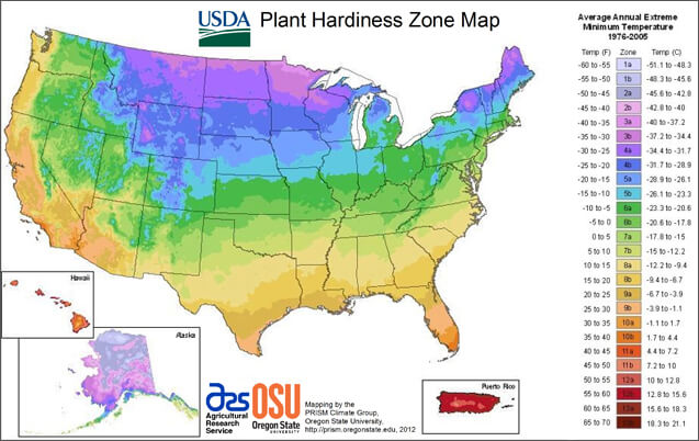 USDA plant hardiness zone (1)