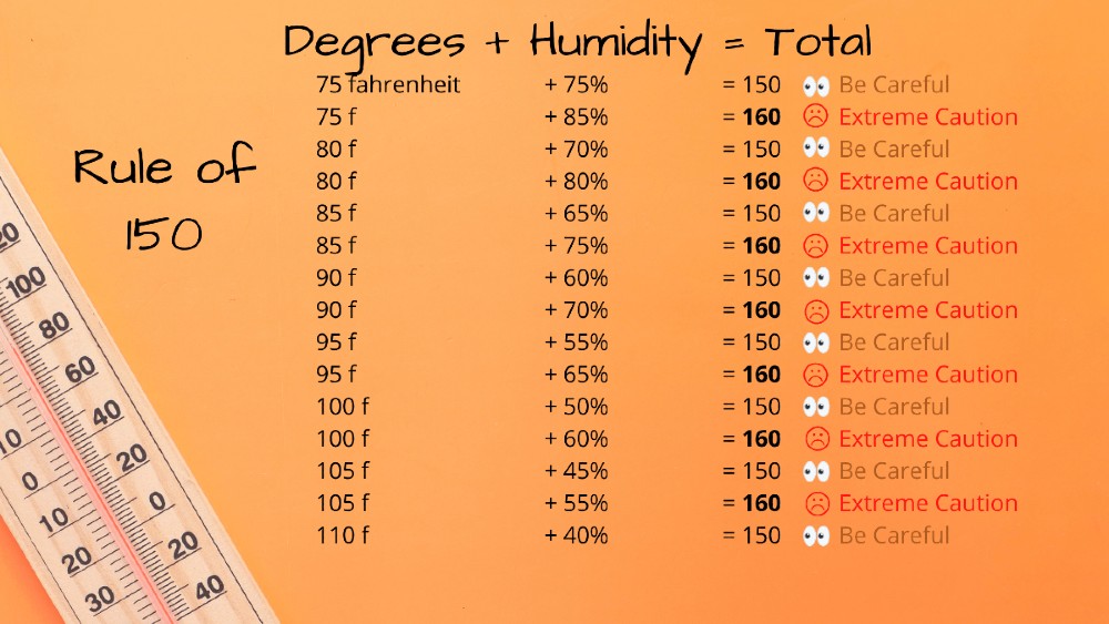 HOrse heat tolerance guide (1)