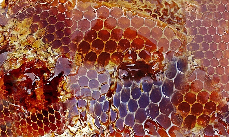 Bees make honey through a complex process