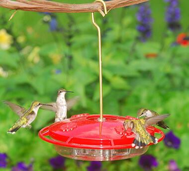 Aspects HummZinger Hummingbird Feeder (1)