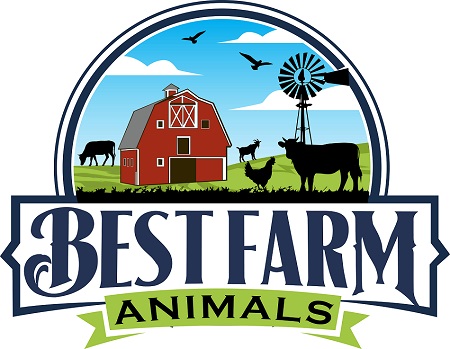 Best Farm Animals Logo 450