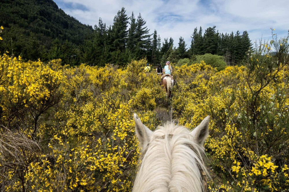 Length that horses can travel in a day (1)