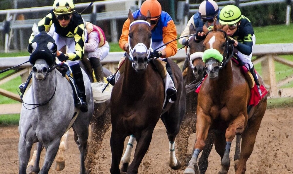 Racing horses wear eye covers to keep them from distraction (1)