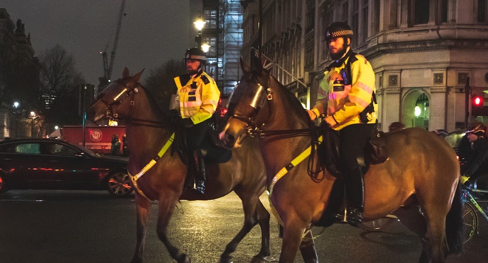 police horses wear eye covers to keep their faces protected