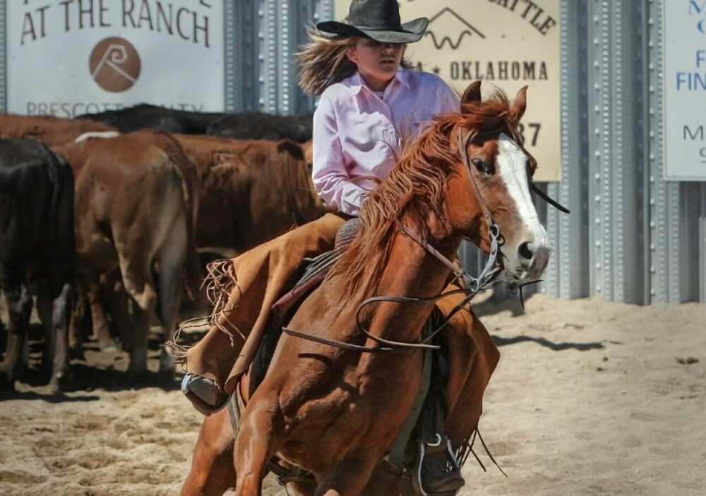 A spinning horse in the rodeo is exciting (1)