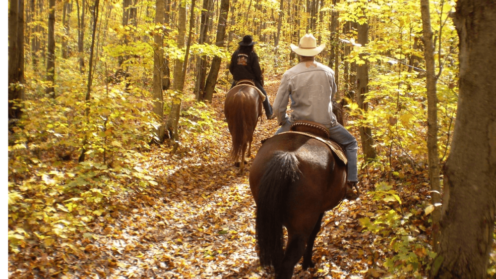 Riding a skittish horse takes training for the horse (1)