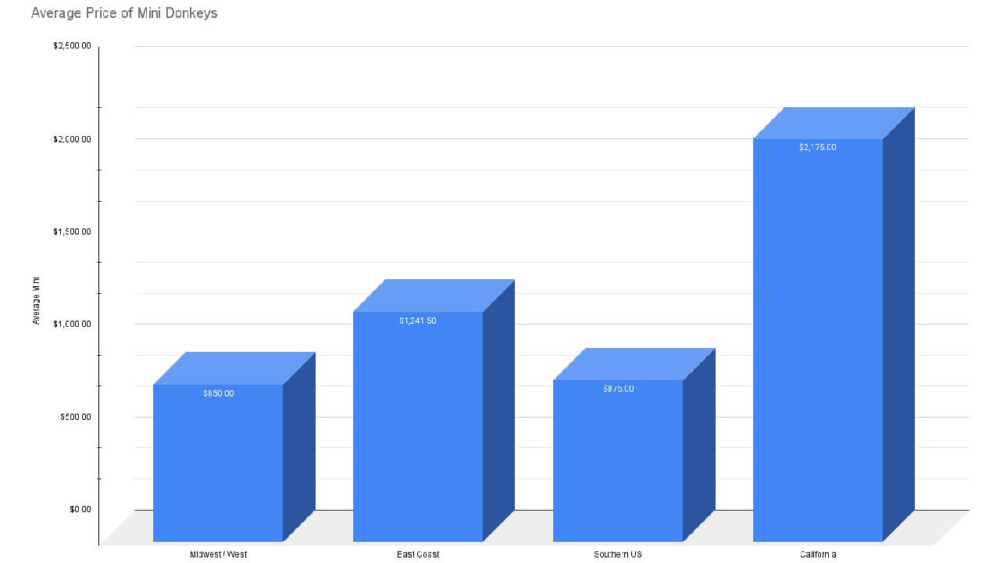 Average cost of mini donkey's to buy by US region (1)