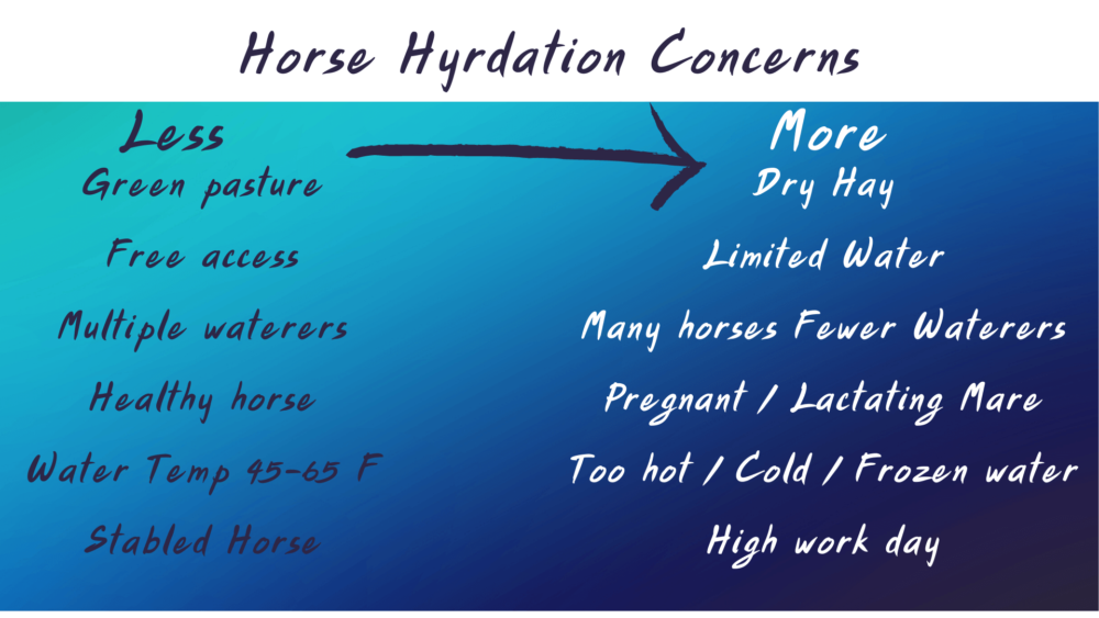 Horse hydration chart
