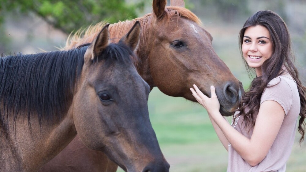 Horses exhibit separation anxiety when owners are gone (1)