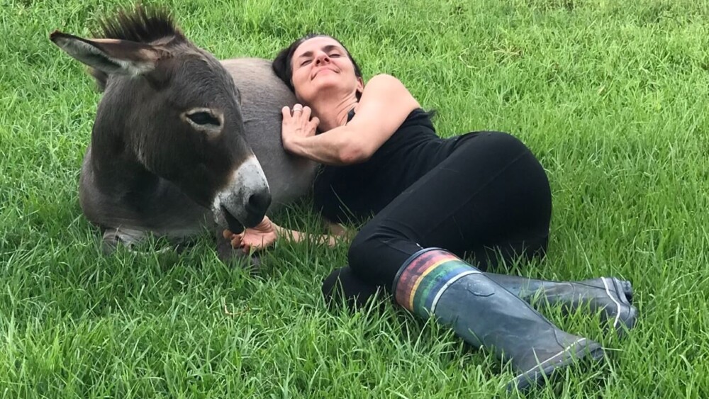 show your donkey love by spending time with it