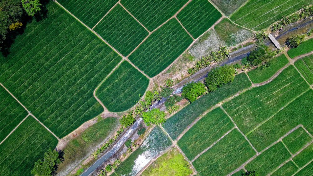 Before you buy a homestead, know the lay of the land