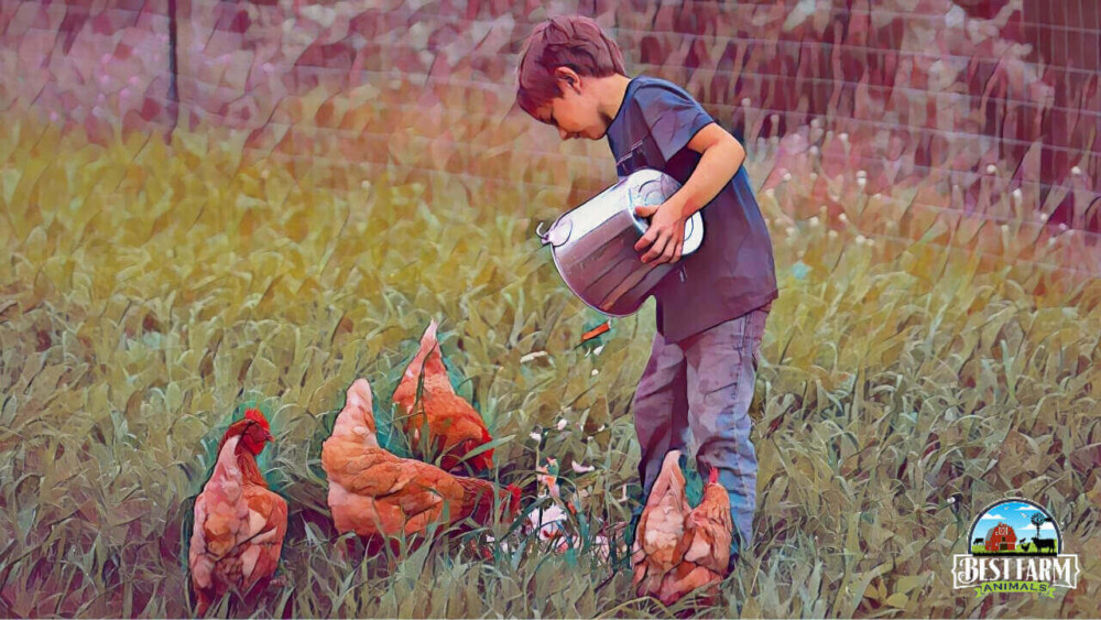 Chickens Teach Kids Responsibility DLX2 Logo