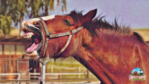 Yawning that is repetitive may be a sign of a problem DLX2 Final